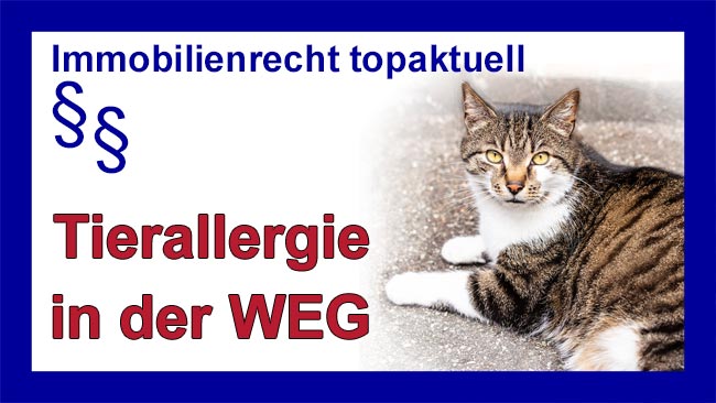 Katze - Copyright Sylvia Horst
