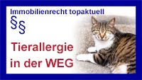 Katze - Copyright Sylvia Horst