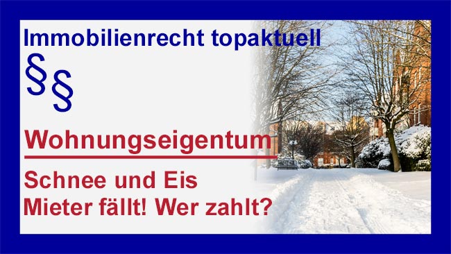 Schnee - Copyright Sylvia Horst