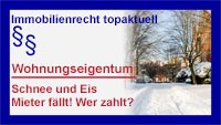 Schnee - Copyright Sylvia Horst
